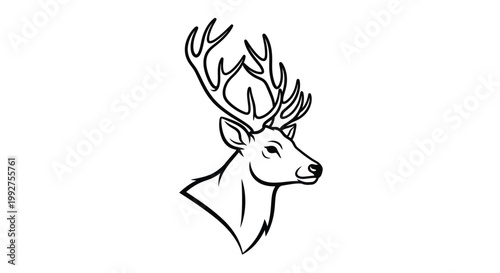 Detailed line art illustration of a majestic stag s head and antlers