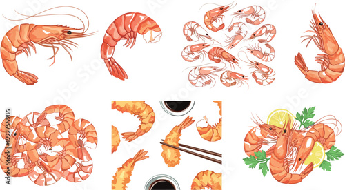 Shrimp seafood collection with cooked prawns patterns sushi elements and garnish isolated vector illustration set