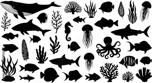 sea animals, fish, algae set silhouette ,on white background, vector
