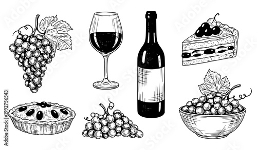 Grapes and wine dessert ink sketch set with cake pie and fruit bowl vector illustration