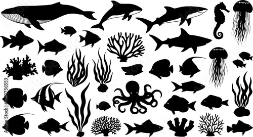 sea animals, fish, algae set silhouette ,on white background, vector
