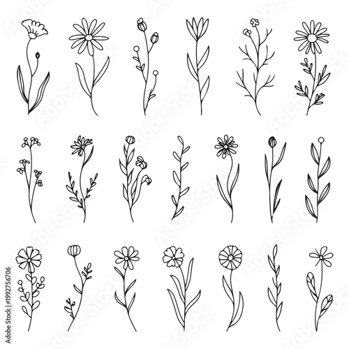 Hand-Drawn Flowers and Botanical Elements Minimal Black Line Art Illustration Set