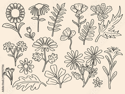 Hand drawn floral sketch line art collection, Sketch botanical elements vector illustration isolated on white background