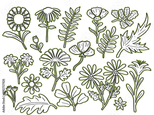 Hand drawn floral sketch line art collection, Sketch botanical elements vector illustration isolated on white background