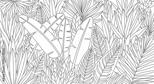 Intricate Tropical Leaves Pattern, Black and White Line Art Jungle Foliage for Adult Coloring Books, Nature Background