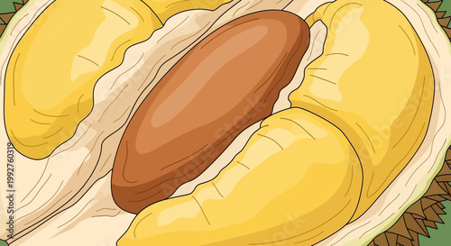 Close up view of a single durian seed surrounded by creamy yellow flesh.
