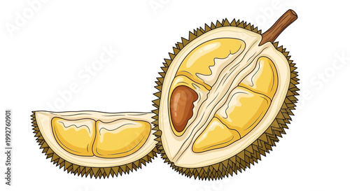 Fresh Durian Fruit Halved and Sliced with Spiky Skin and Yellow Flesh.