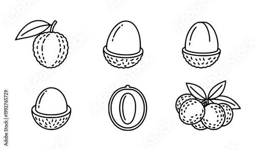 Lychee fruit icons set vector thin line whole peeled litchi tropical fruit illustration isolated white background