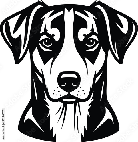 Dog Head Front View Hand Drawn Vector Line Art Black and White Illustration