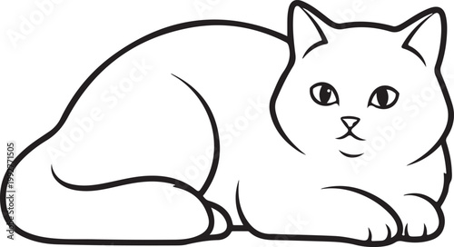 A relaxed feline rests peacefully its form defined as a striking silhouette