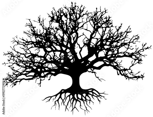 Intricate silhouette of a large ancient tree with a sprawling complex root system rendered in stark black against a clean white background symbolizing growth nature