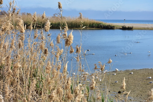lagoon and bay Puerto Ray near town Garrucha in Spain