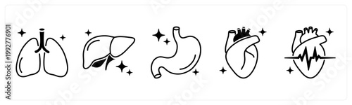 A set of 5 mix icons as lungs, liver, stomach