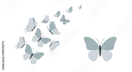 A minimalist floral graphic creates a calming and sophisticated aesthetic, ideal for website backgrounds, marketing materials, or social media posts p