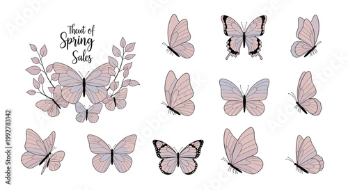 Delicate butterflies with soft pink hues evoke a sense of serenity and transformation. Perfect for marketing campaigns needing a touch of beauty and g
