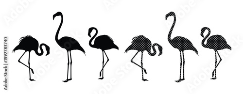 Black flamingo silhouettes set, tropical bird vector icons in various poses, minimalist exotic animal shapes for summer design and branding