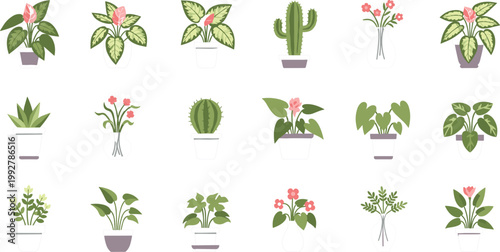 Indoor houseplants vector illustration set, collection of potted plants cactus and flowering greenery in flat style isolated on white background home decor design