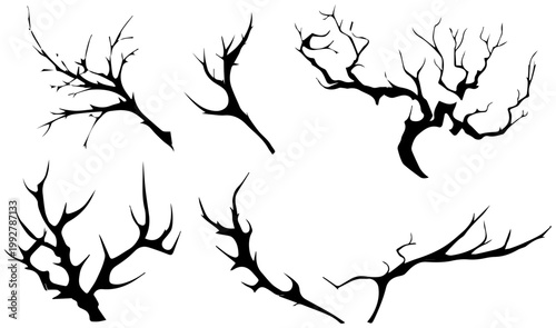 Collection of five abstract organic thick silhouetted tree branch shapes with intricate branching patterns and sharp pointed ends against a clean white background ideal