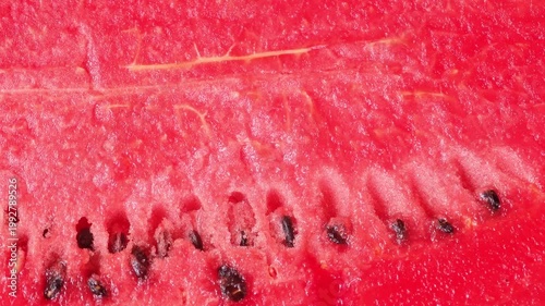 Fresh watermelon cut in half.A refreshing fruit.