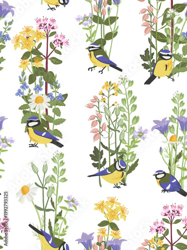 seamless pattern with field flowers and birds, vector drawing wild plants and blue tits at white background, , hand drawn botanical illustration