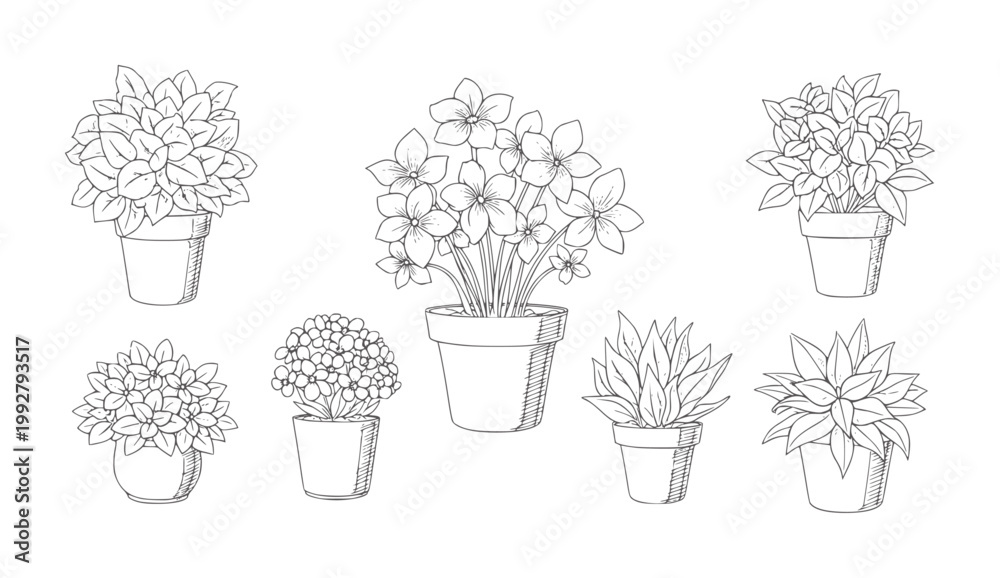 Αυτοκόλλητο Collection of six potted plants with various leaf and flower shapes in a line st