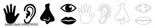五感のアイコンセット、手、耳、鼻、目、唇のシンプルな黒と白のベクターイラスト、感覚と知覚を表現するミニマルなデザイン素材