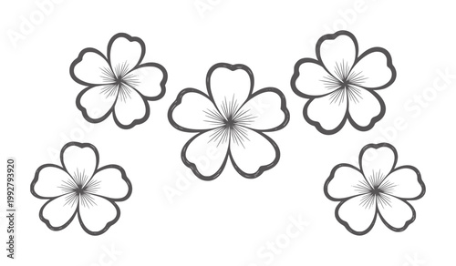 Five dark grey outline five petal flowers arranged white