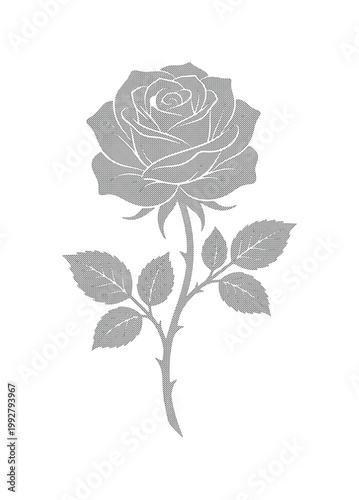エレガントなモノクロのバラのイラスト、繊細な花びらと葉が特徴の美しい花のベクターアート。結婚式や記念日のデザインに最適な、洗練されたグレースケールの植物モチーフ。