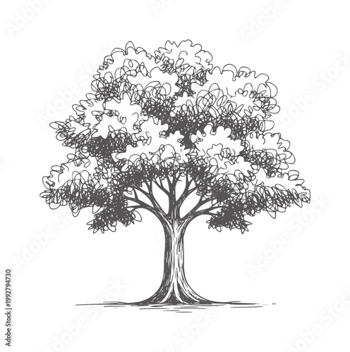 Of a deciduous tree with a thick trunk and dense foliage branches nature