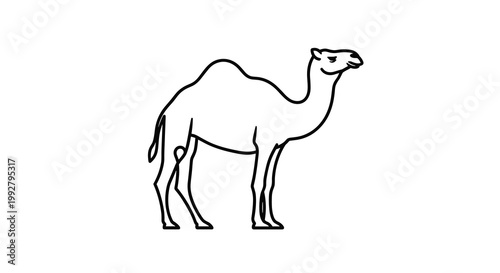 A minimalist line art illustration depicts a dromedary camel standing in profile rendered with clean black outlines against a white background.