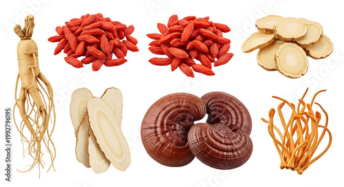 Assortment of Traditional Chinese Medicinal Herbs and Ingredients.