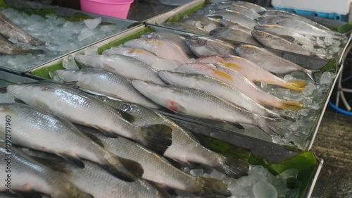 Freshly caught fish arranged on counter at local street market. Coastal fishing industry selling concept