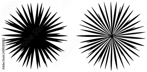 Two abstract black starburst and sunburst graphic elements isolated on a clean white background representing bursts of energy light or explosions in a minimalist design style