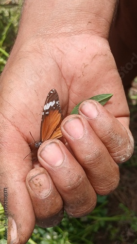 butterfly on hand