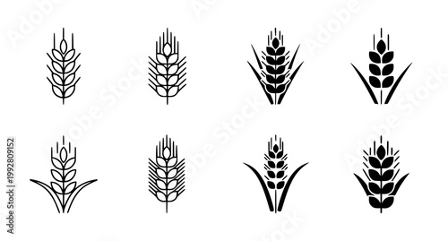 Collection of wheat and grain ear icons in black and white line art and silhouette styles for bakery logos agricultural branding and food industry design