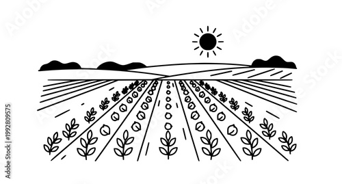 Minimalist line art landscape illustration showing a field of crops with sun and hills for sustainable agricultural and rural lifestyle design projects