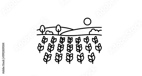 Minimalist line art illustration of agricultural field with rows of crops under the sun for simple farming concept and rural landscape graphic design