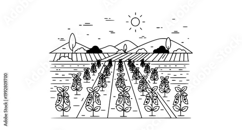 Minimalist landscape illustration of pea plant field under bright sun with mountain horizon lines for agricultural marketing and farming icons