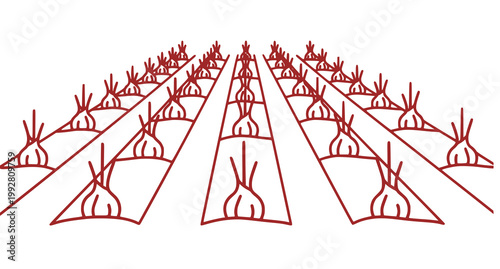 Rows of onion plants in soil illustrated with red line art design for agricultural branding and organic vegetable farm marketing materials