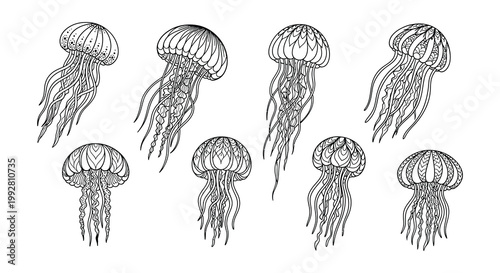 Detailed line art illustration of several jellyfish in a symmetrical arrangement