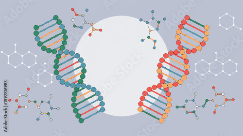 DNA double helix structure illustrations with molecular models and organic chemistry elements