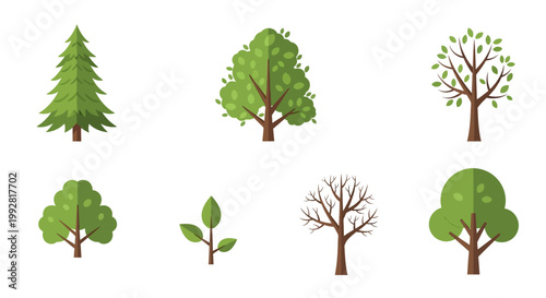 Set of Diverse Flat Trees and Sapling: Evergreen, Deciduous, Bare, and Spring Growth