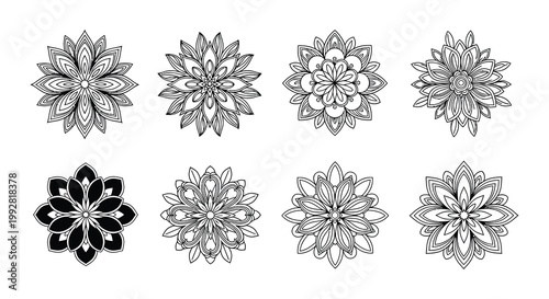 Eight hand drawn floral designs arranged in a grid pattern on white