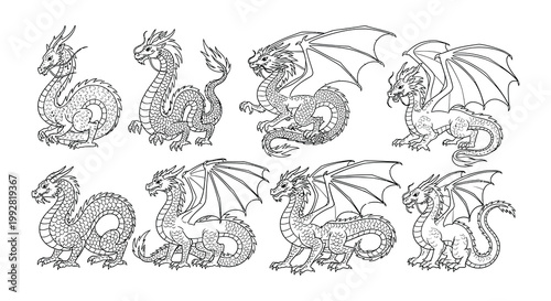 Collection of detailed black and white dragon illustrations in various poses
