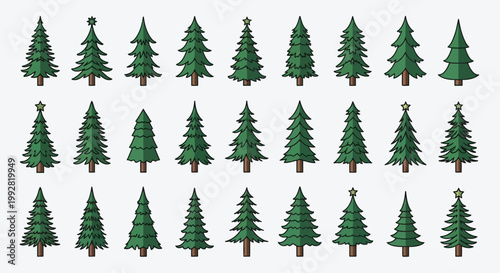 Christmas Tree Collection: Diverse Styles of Festive Evergreen Conifers