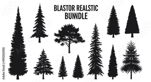 Diverse Pine Tree Silhouettes Collection
