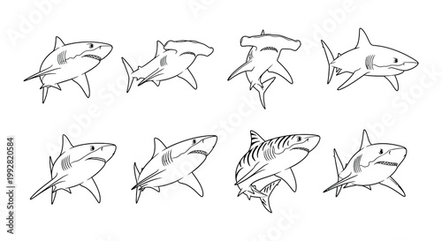 A collection of diverse shark illustrations in a simple line art style