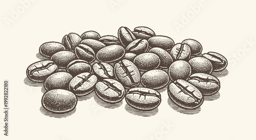 Coffee beans pile with detailed hand drawn style