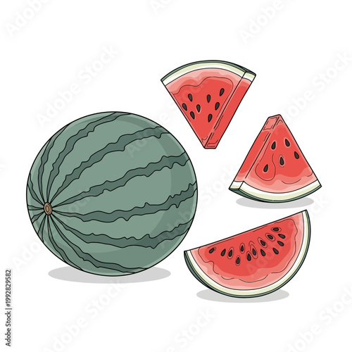 Whole Watermelon and Slices, Fresh Summer Fruit Illustration