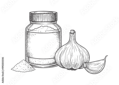 Hand drawn garlic bulb powder and jar white clove